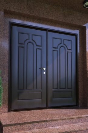 Двухстворчатые входные металлические двери 