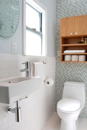 Особенности и разновидности маленьких раковин для туалета