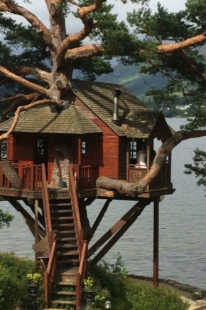 Какими бывают домики на дереве и как их построить?