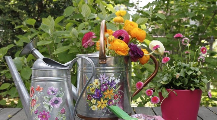Лейка для цветов: виды леек для полива комнатных растений, выбор маленьких моделей для домашних цветов, особенности керамических и других леек